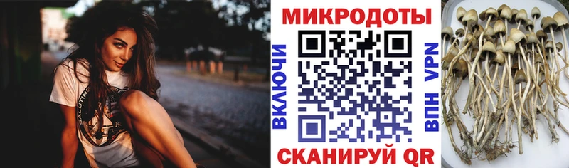 Псилоцибиновые грибы ЛСД  Купить  Сим 